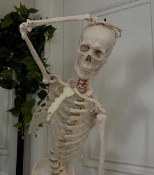 High Quality Human Skeleton Bending Design 180 CM
