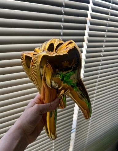 Gold Tooth Model for Decoration - Big Size